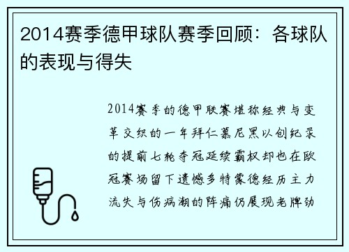 2014赛季德甲球队赛季回顾：各球队的表现与得失